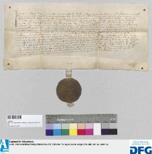 Johans von Vestenberg, Landrichter zu Nürnberg, erteilt Cunrat dem Waltstromair von Nürnberg Abschrift einer Urkunde des römischen Königs Karl IV. vom 31. Oktober 1347, die Belehnung mit dem Forstmeisteramt über den Reichswald bei Nürnberg betreffend. - Siegler: das Landgericht.