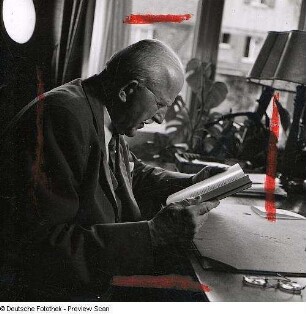 Portraitserie Hermann Staudinger