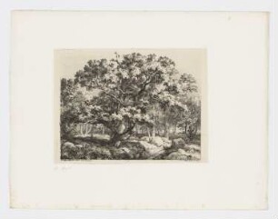 Adlerhorst in der alten Eiche, Blatt 6 der Folge "Landschaften, nach der Natur radiert"