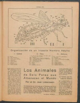 Los animales de seis patas que amenazan al mundo