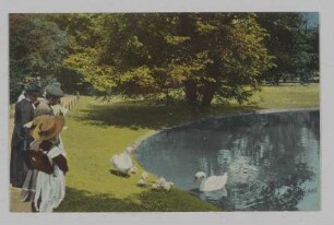 Leipzig. Partie am Johannaparkteich