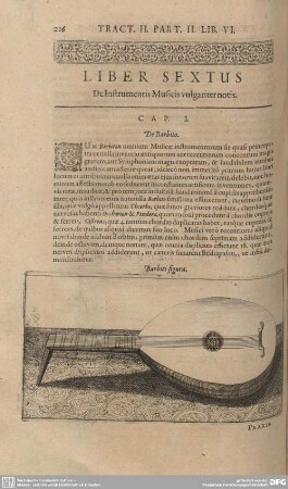 Liber Sextus. De Instrumentis Musicis vulgariter notis.