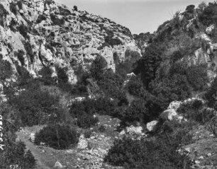 Im Gebirge : Gebirge mit Vegetation in einem Tal