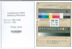 Entnazifizierung Heinz Trilling , geb. 16.05.1921 (Ingenieur)