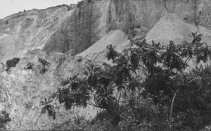 Erdrutsch (Lateinamerika-Aufenthalte 1928/1942 – Album Das Vulkanland im Süden Kolumbiens. I. Teil, 1940)