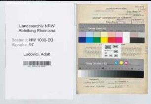 Entnazifizierung Adolf Ludovici, geb. 05.08.1899 (Ingenieur)