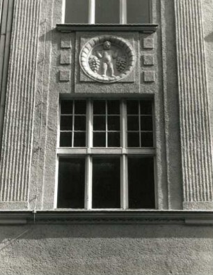 Görlitz, Wilhelmsplatz 1. Wohnhaus (um 1908). Fenster mit Medaillon