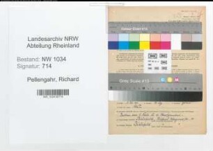Entnazifizierung Richard Pellengahr , geb. 19.08.1883 (Generalleutnant)