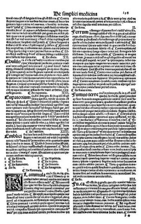 XIII. Eupatorium