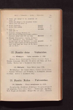 22. Familie: Geier - Vulturidae.