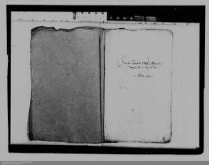 Gutachten des Dr. Gerhard Mehn zur Behebung von Missständen im Reich