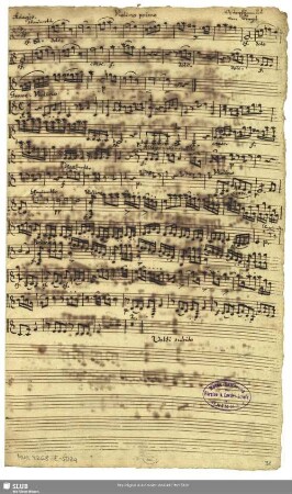 Violino primo