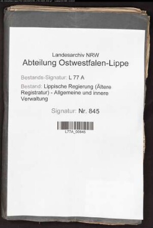 Anstellung der Auditoren beim Amt Sternberg