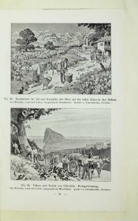 40. Felsen und Straße von Gibraltâr. Korkgewinnung