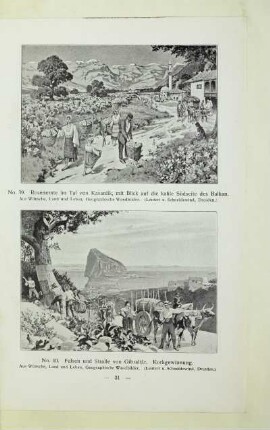 40. Felsen und Straße von Gibraltâr. Korkgewinnung