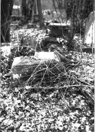 Grabstein 856