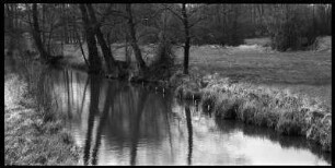 Spreewaldlandschaft bei Leipe