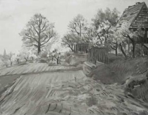 Frühling in Oberpoyritz