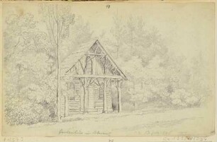Ein Gartenhaus aus Holz mit eingebauten Bäumen in Blasewitz östlich von Dresden
