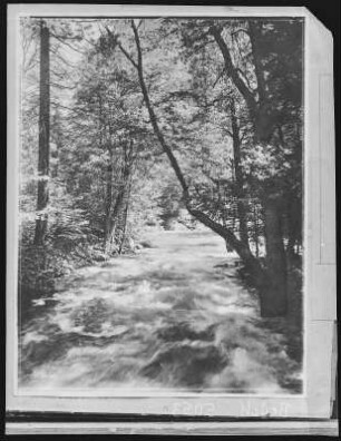 Kalifornien. A River Scene in California