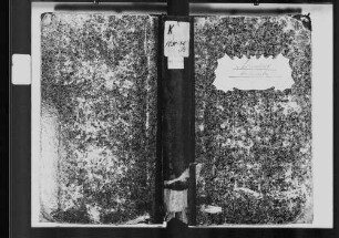 Assamstadt, katholische Gemeinde: Standesbuch 1830-1839