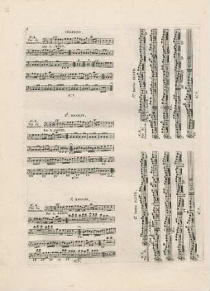 Serpent, 2. Basson, 1. Basson, 2. Petite Flute, 1. Petite Flute.