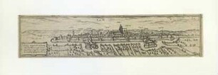 Ulm von Norden. 1572