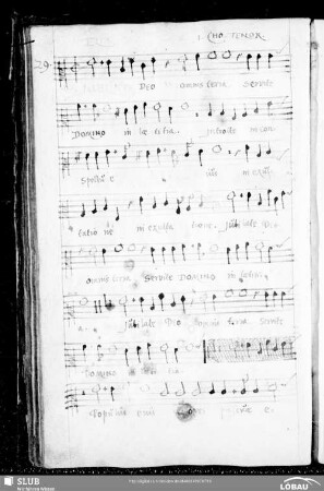 29 Elias Groskurdt: Jubilate Deo