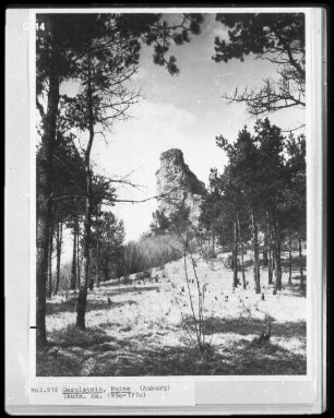 Sogenannte Löwenburg