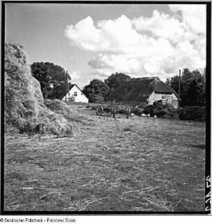 Rügen? Blick auf ein Gehöft