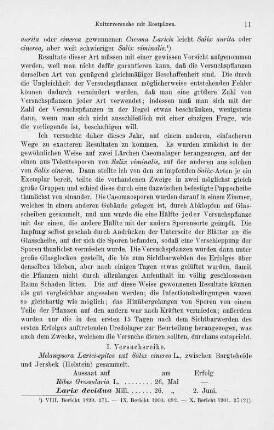 I. Versuchsreihe.