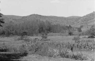 Plantage : Blick über eine Plantage in den Usambara-Bergen