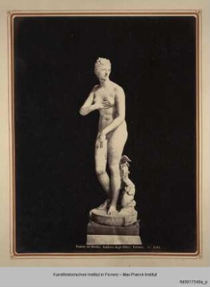 Album mit Veduten aus Florenz : Vedute mit Venus Medici in den Uffizien