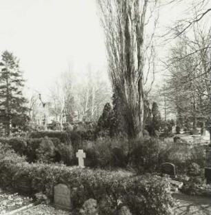 Friedhof : Dresden-Kaditz, Friedhof, Blick durch das Eingangstor und die Hauptallee zur Grabkapelle