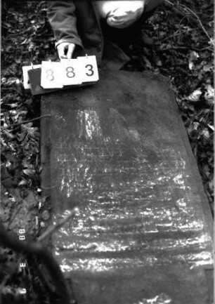 Grabstein 883