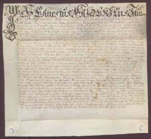 Instrumentum nobilitatis des Ernst Friedrich Sturmfeder von Oppenweiler.