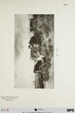 Tafel I-XVI