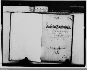 Nassau-Katzenelnbogen ./. Kurfürstentum Trier und Landgrafschaft Hessen: Nutzung des Pfaffenholzes