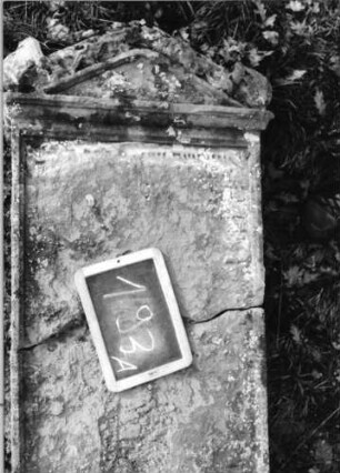 Grabstein 193 (Index: 100090520) Material: Sandstein Zustand: zerbroch/abgeblätt/verwitt/Textverlust Maße HxBxT: 124x49x12 cm Beschreibung: Stele, Giebel mit Eckakroteren, rechteckiges Schriftfeld eingetieft Symbolik: Ranken im Giebel: Grabstein 193A