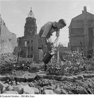 Dresden. Kleingartenarbeit in Trümmerfeldern des Stadtzentrums