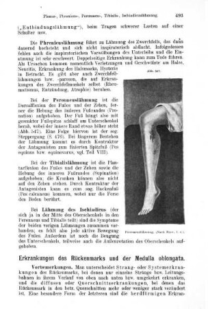Erkrankungen des Rückenmarks und der Medulla oblongata. - Sonstige Erkrankungen des Nervensystems.