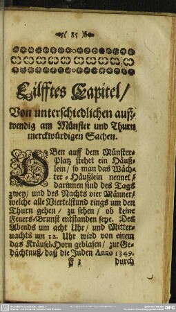 Eilfftes Capitel, Von unterschiedlichen außwendig im Münster und Thurn merckwürdigen Sachen
