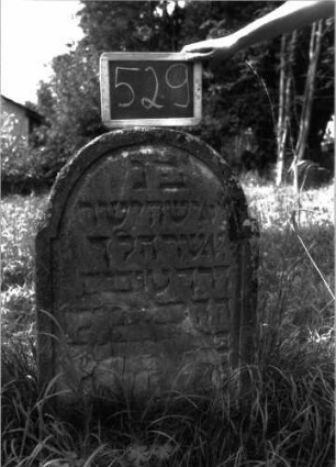 Grabstein 529 (Index: 100102569) Material: Sandstein Zustand: unten stark verwittert, abgeblättert, teilweiser Textverlust Maße HxBxT: 82x59x10 cm Beschreibung: Stele, eingezogener Rundbogenabschluss, Schriftfeld eingetieft: Grabstein 529
