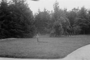 Friedhof : Grabkreuze auf einem Friedhof.
