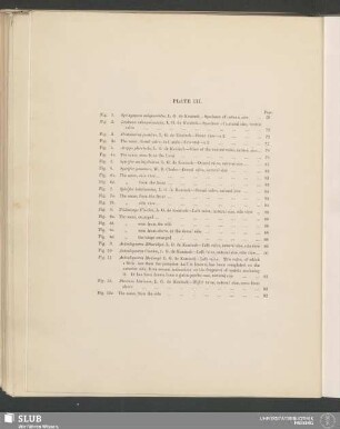 Plate III