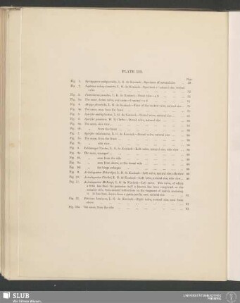 Plate III