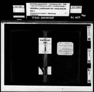 Staffelstab Nr. 66
