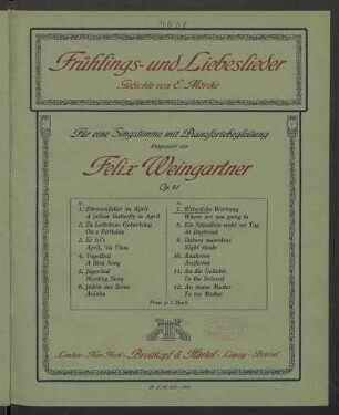 Nr. 7: Ritterliche Werbung