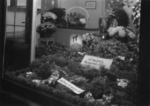 Roßwein, Gartenstraße 27. Wohnhaus mit Laden (Blumengeschäft Köhler). Schaufensterdekoration mit Fleurop-Werbung