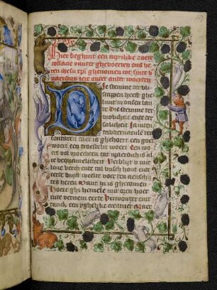Historisierte Initiale D mit bewohnter Blattrankenbordüre
